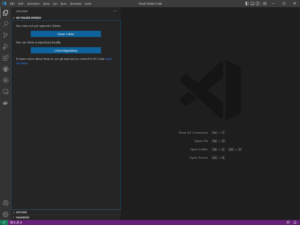 VSCode Sidebar Opened